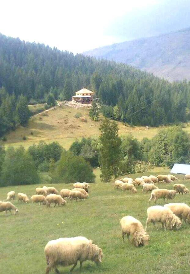Isov Ranch Villa Plav Dış mekan fotoğraf