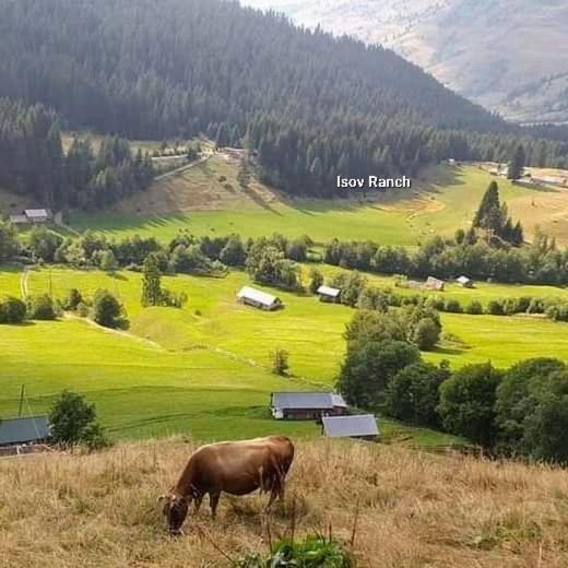 Isov Ranch Villa Plav Dış mekan fotoğraf