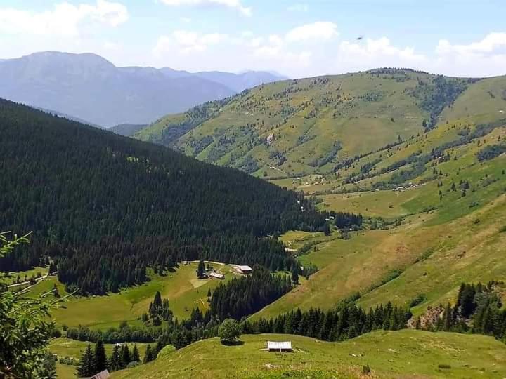 Isov Ranch Villa Plav Dış mekan fotoğraf