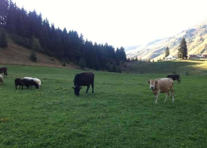 Isov Ranch Villa Plav Dış mekan fotoğraf