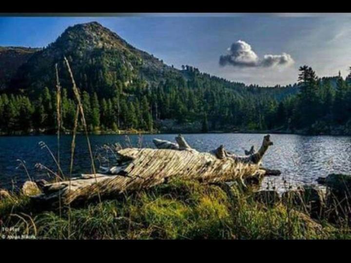 Isov Ranch Villa Plav Dış mekan fotoğraf