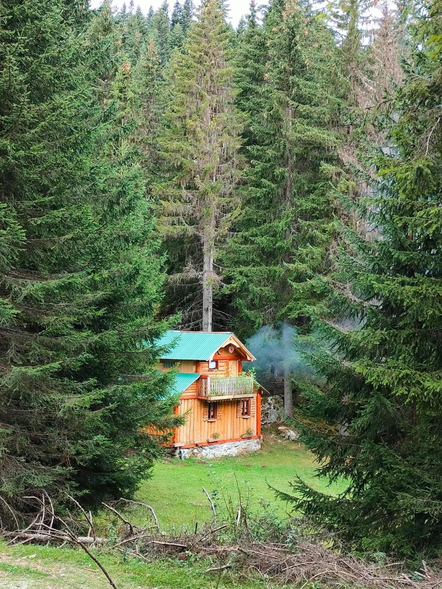 Isov Ranch Villa Plav Dış mekan fotoğraf